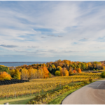 Fall Colors Tours
