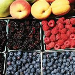 Hood River Fruit Loop