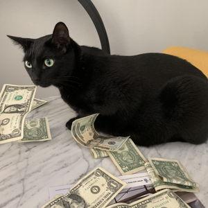 Honeymoon Funds