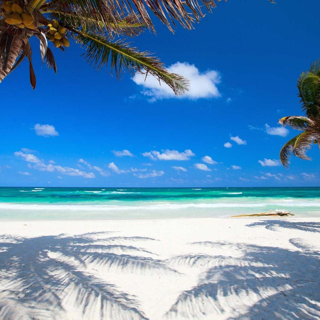 Honeymoon Fund Mexico