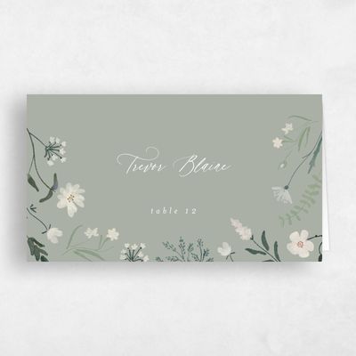 Pale Sage, Green Wedding Place Card - Valentina
