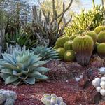 San Diego Botanic Garden