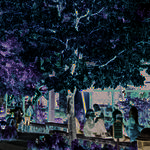Village Drive