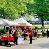 North Beach Farmers' Market