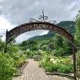 Lake Lure Flowering Bridge