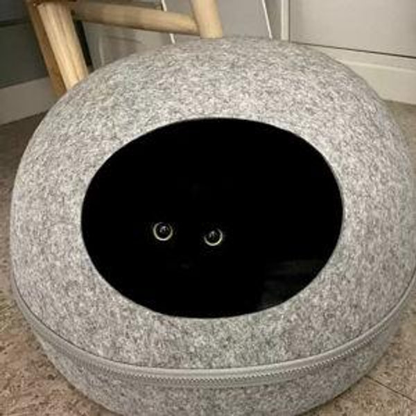 Cat Bed