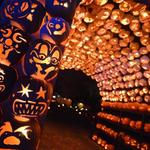 The Great Jack O'Lantern Blaze