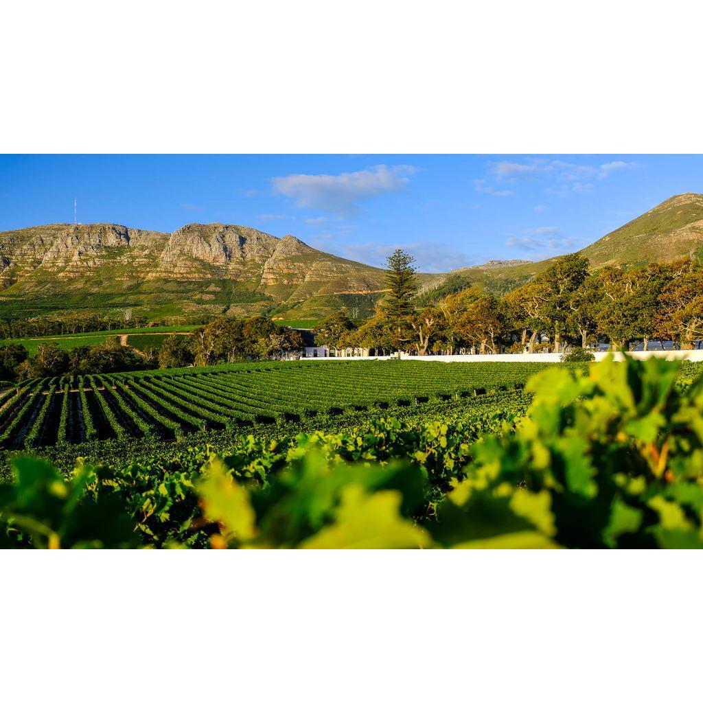 Tours of the Winelands available via The Wine Tram in Franschhoek