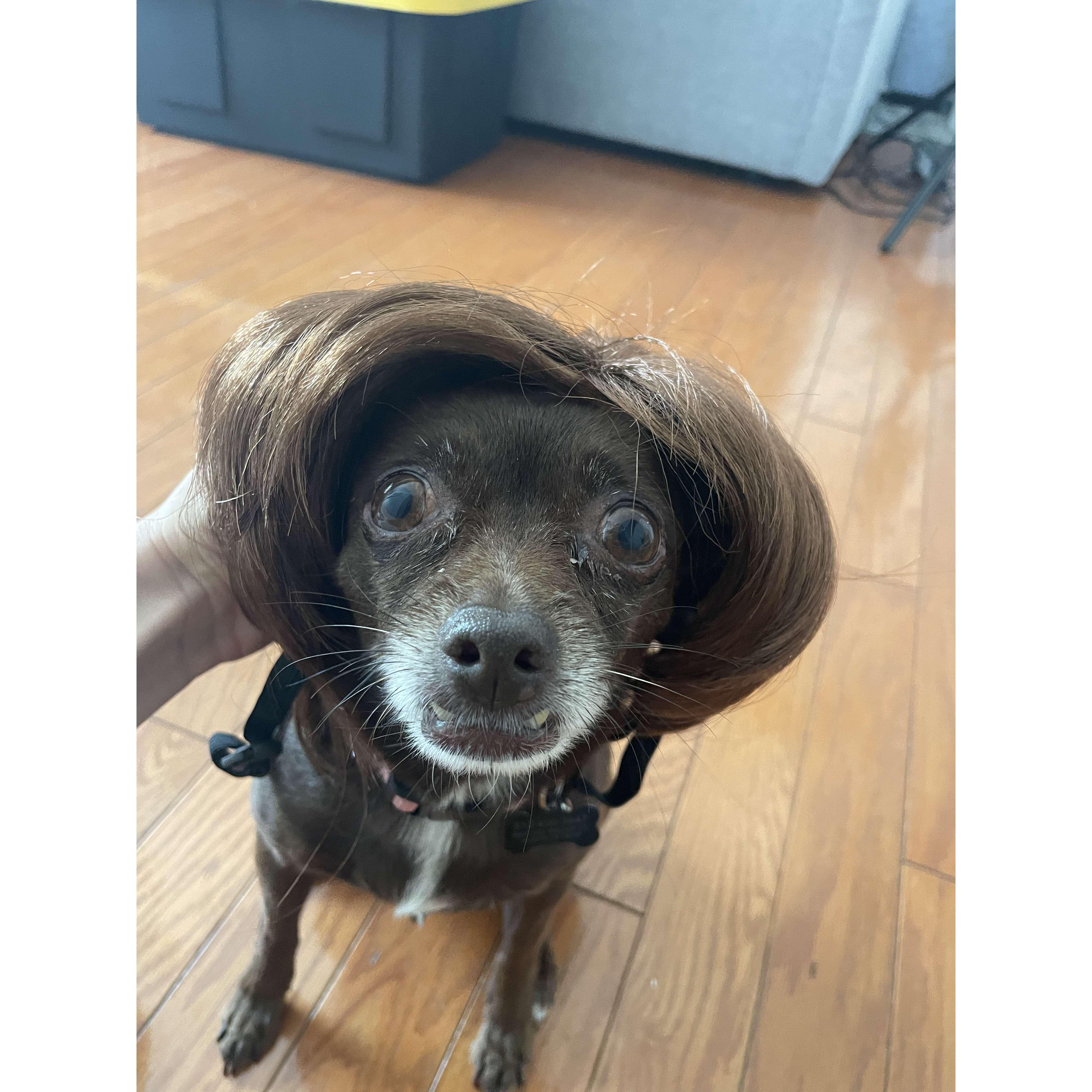 Our pride and joy, Coco.