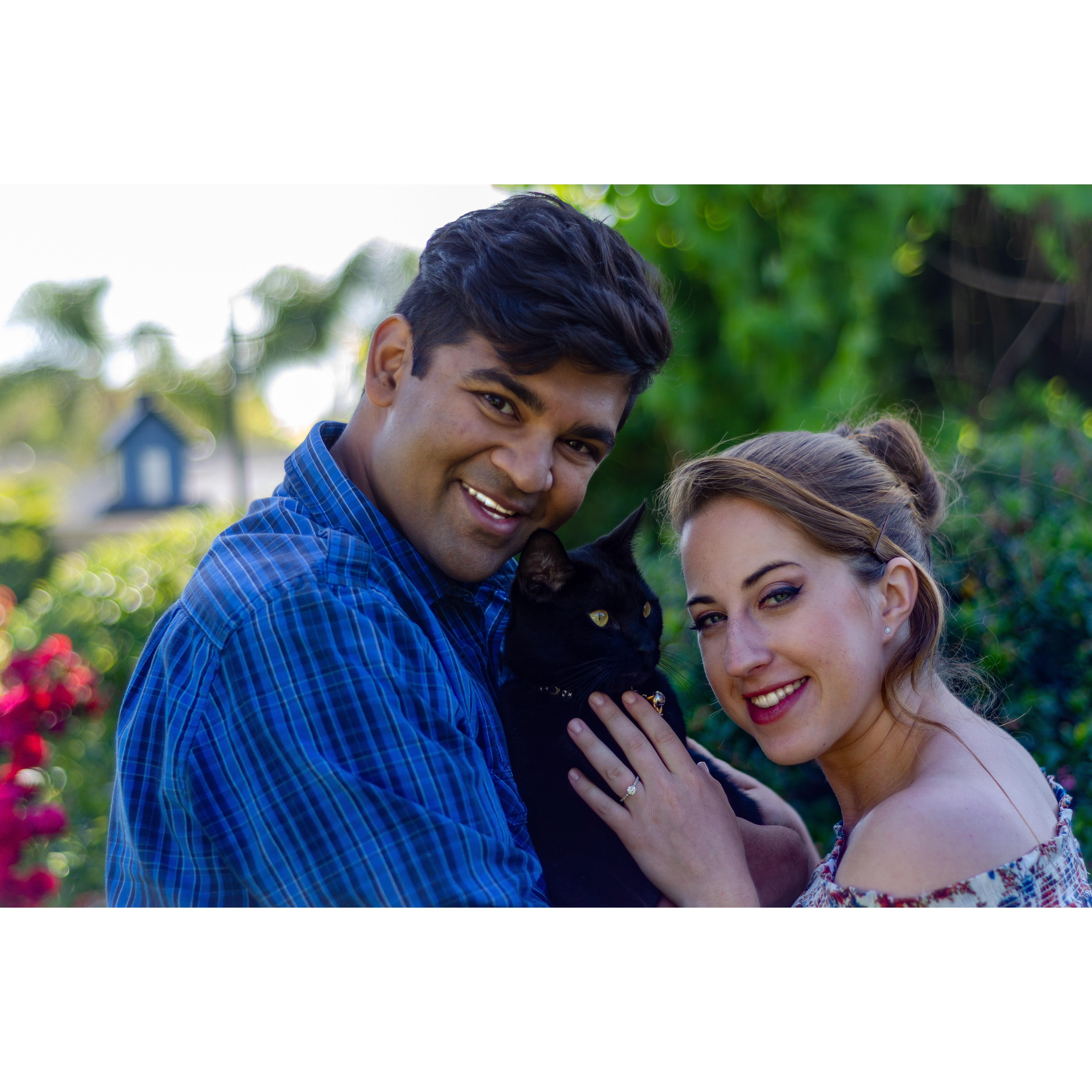 The beginning of our family, featuring Miromesnil, our adopted furbaby