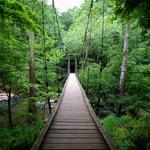 Eno River State Park