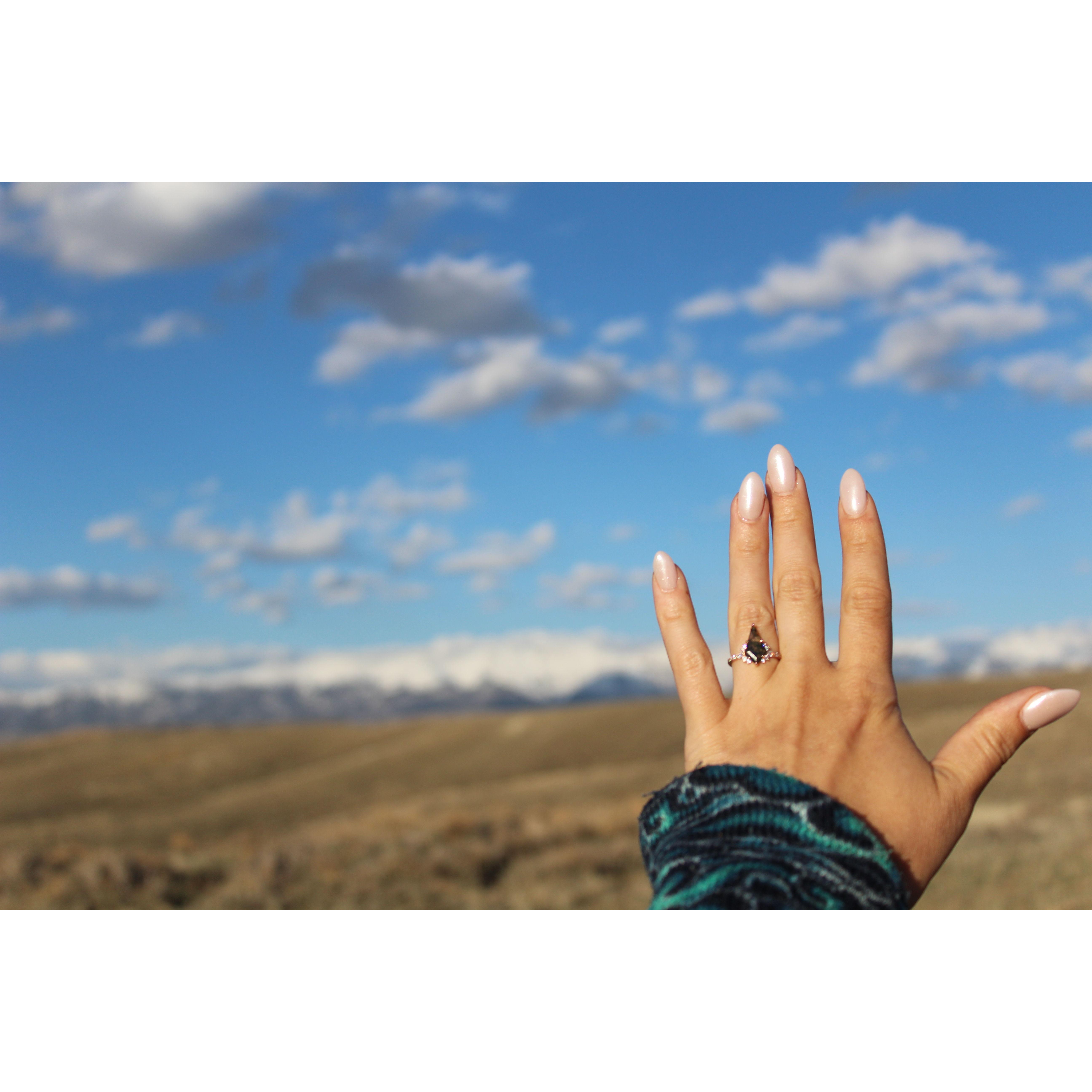 A most picturesque proposal