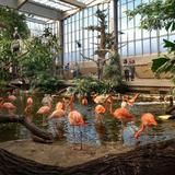 National Aviary