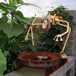 Herb Mackey's Metal Sculpture Yard