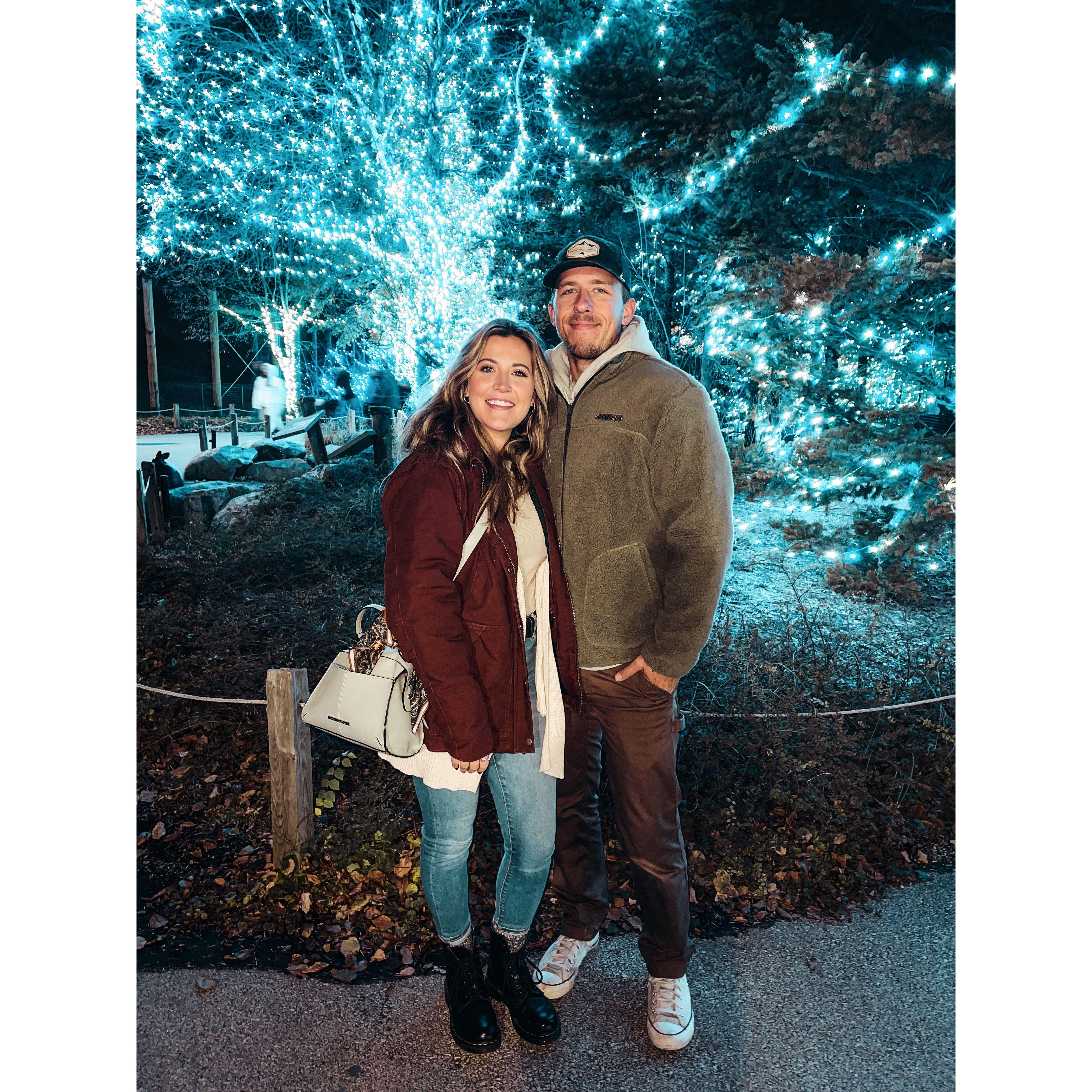 Visiting the Zoo lights in Toledo