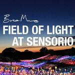 Bruce Munro: Field of Light At Sensorio