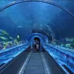 SeaWorld Orlando