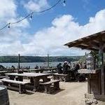 Hog Island Oyster