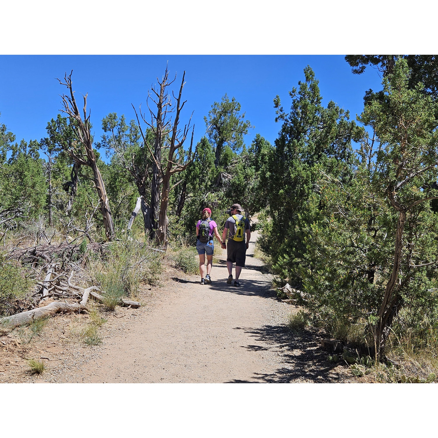 Mesa Verde hiking.