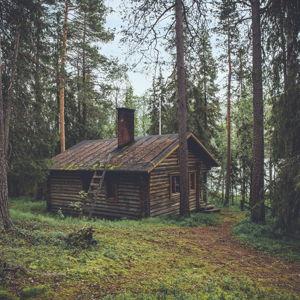 Honeymoon Fund