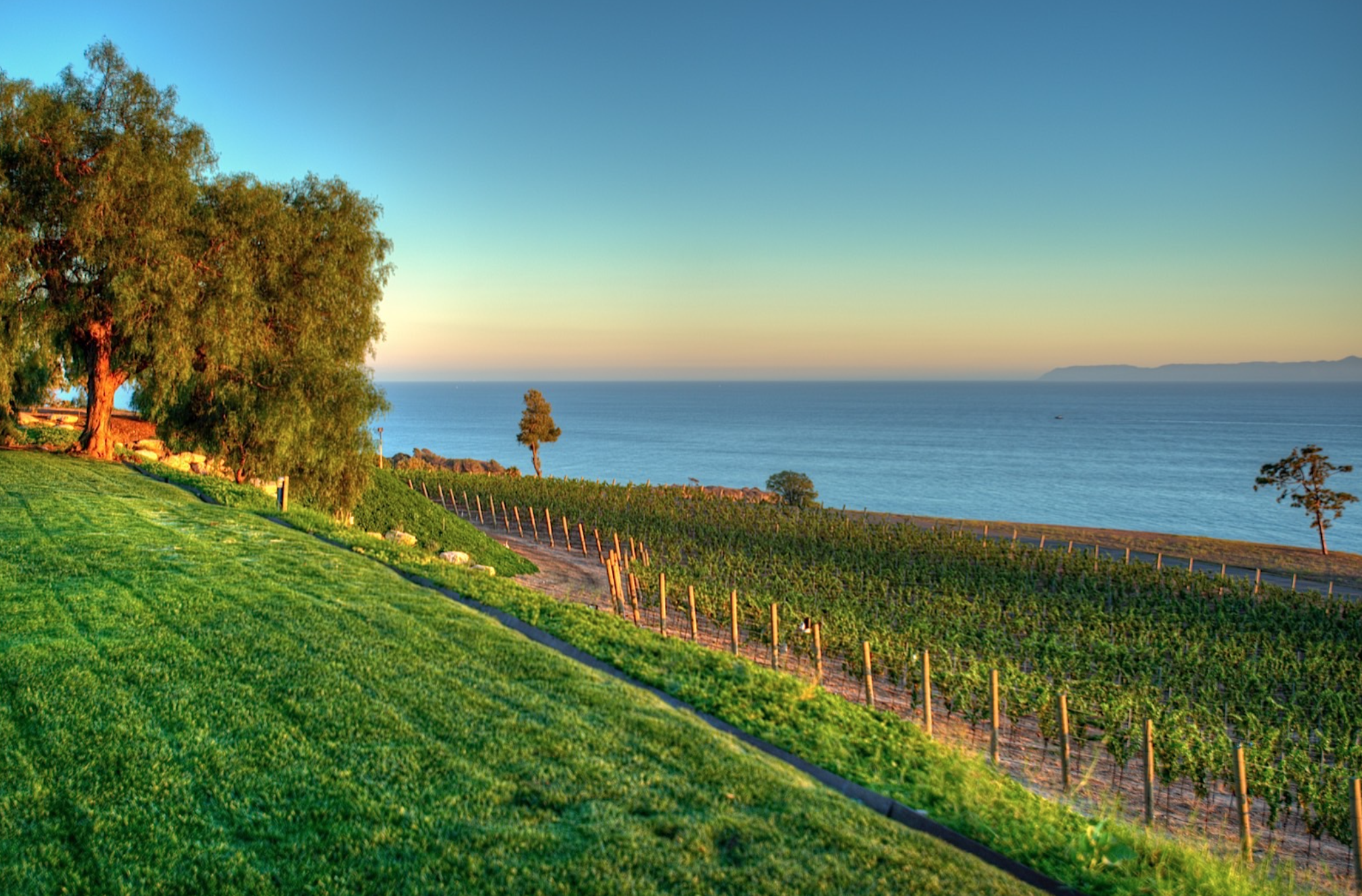 The Wedding Website of Jenna Ritter and Patrick Record