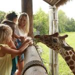 Jacksonville Zoo