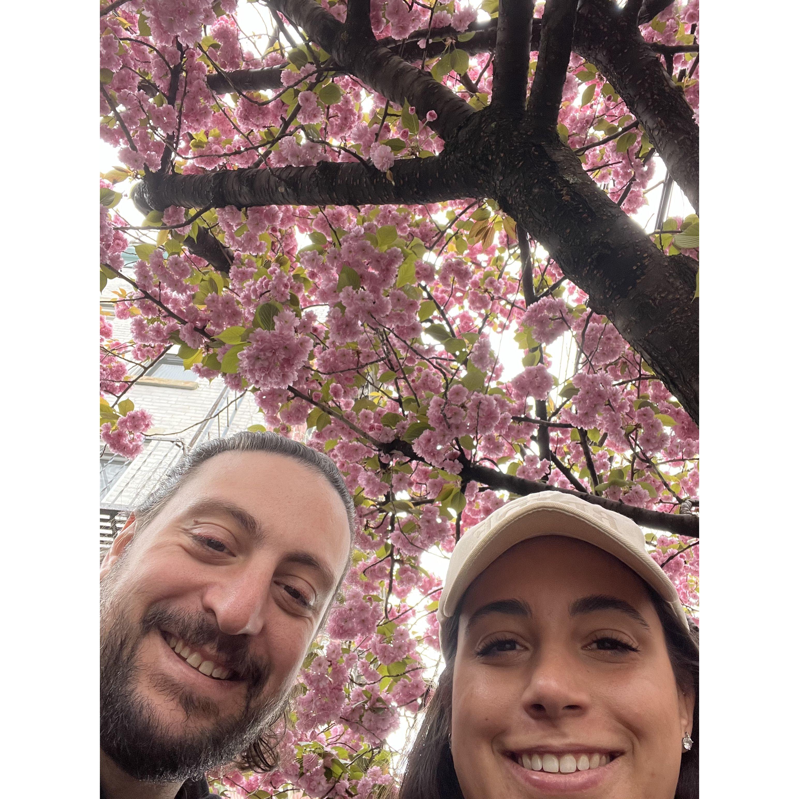 Katie's Birthday 2024