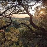 Purgatory Creek Natural Area