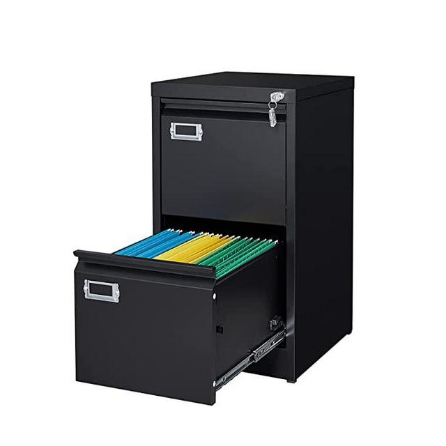 ZAOUS Metal Vertical File Storage Cabinet, 4 Drawer File Cabinet with Lock, 18" Deep Vertical Filing Cabinets for A4 Legal/Letter Size, Assembly Required (2 Drawers -Black)