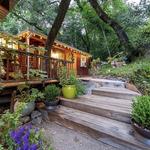 Backyard Forestville