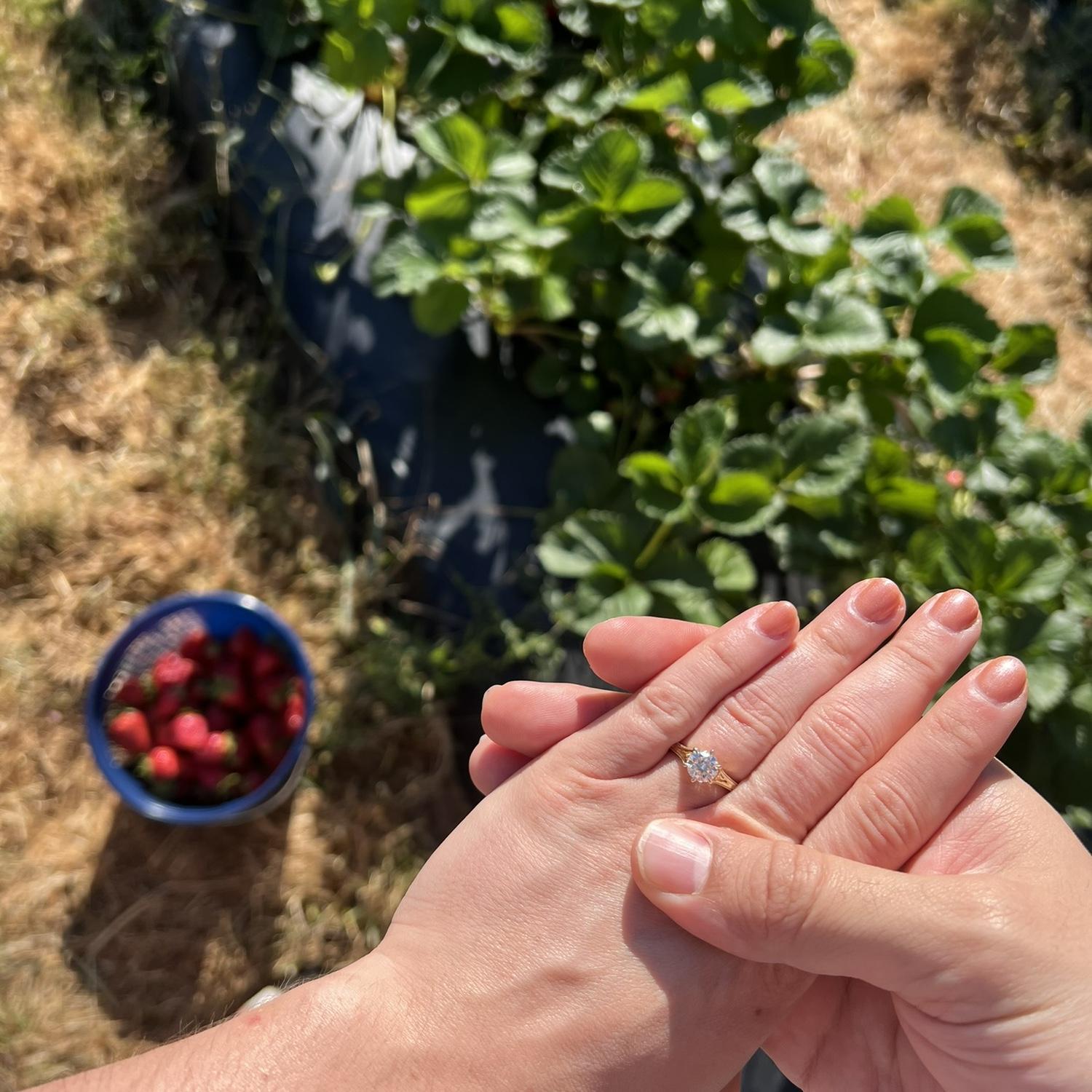 The day we got engaged!