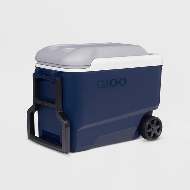 Igloo MaxCold Evergreen Hard Liner 10.5qt Cooler - Black