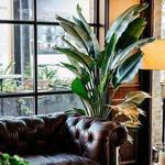 Botanist