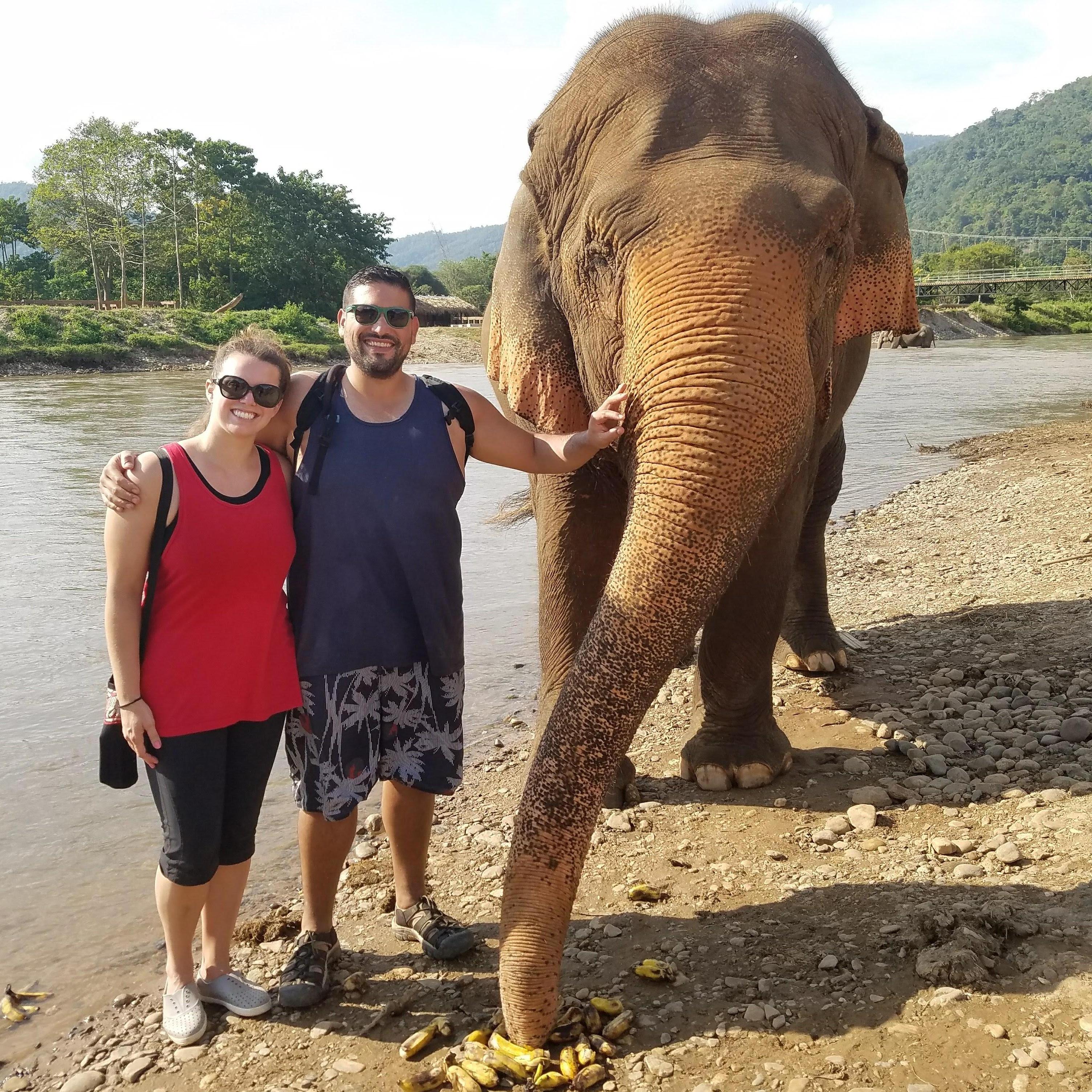 We spent a day with the elephants on our trip to Thailand.
