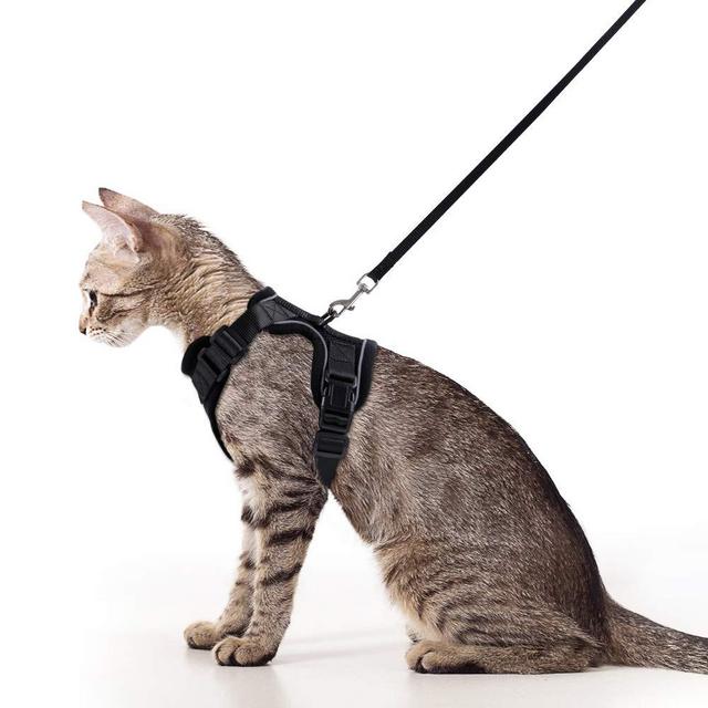 rabbitgoo Cat Harness and Leash for Walking, Escape Proof Soft Adjustable Vest Harnesses for Medium Large Cats, Easy Control Breathable Pet Safety Jacket with Reflective Strips & 1 Metal Leash Ring