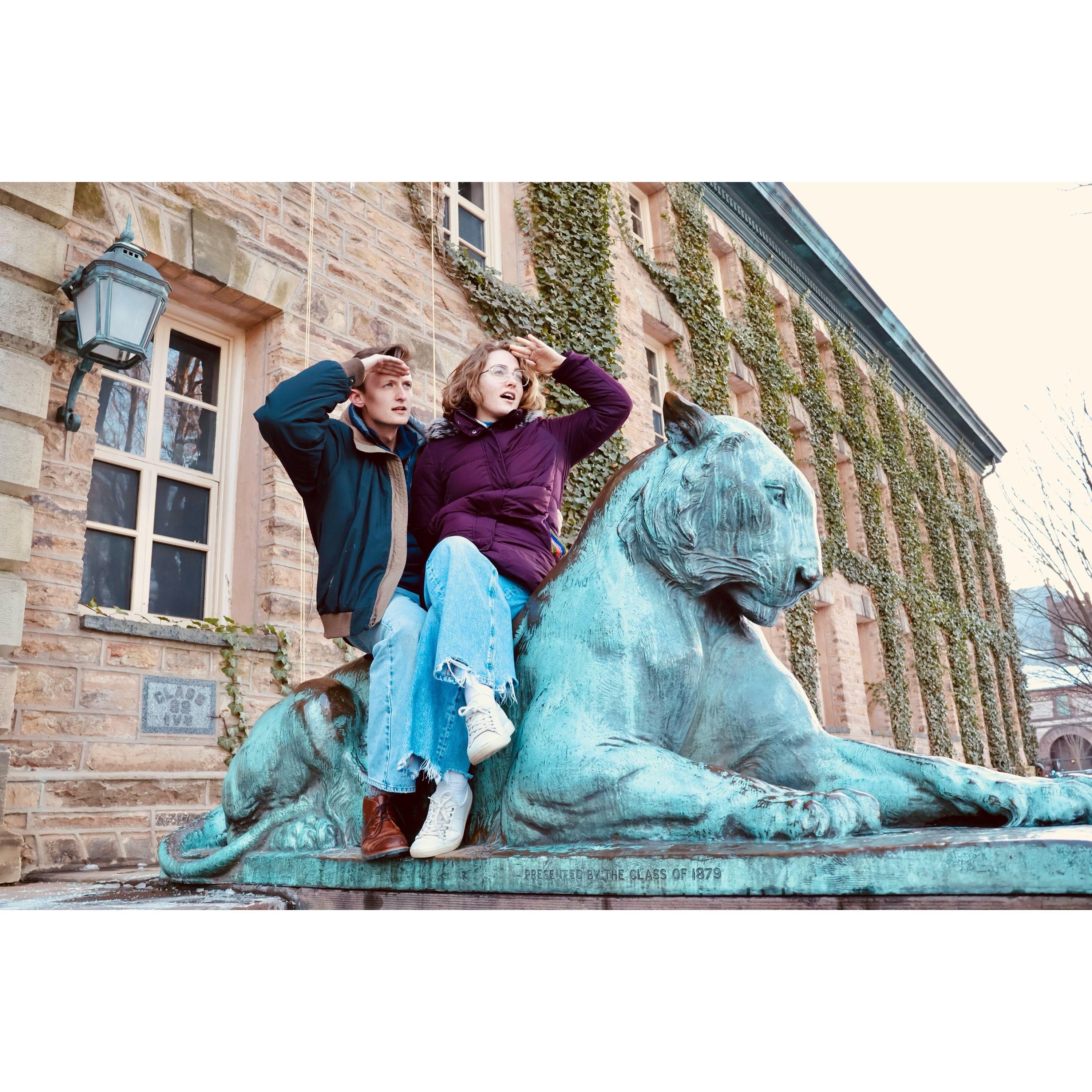 Taming the Princeton Tigers