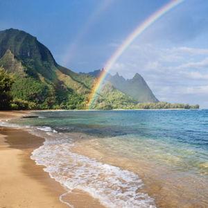 Hawaii Honeymoon
