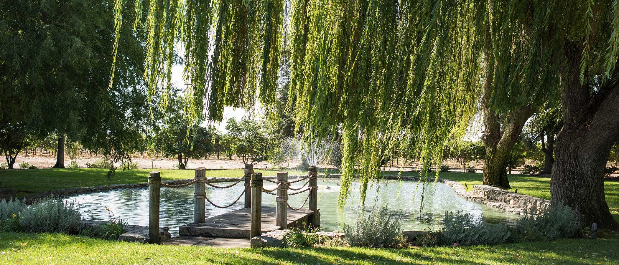 The Wedding Website of Stephanie Graham and Maxwell Niemeyer