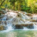 The World Famous Dunn's River Falls & Park