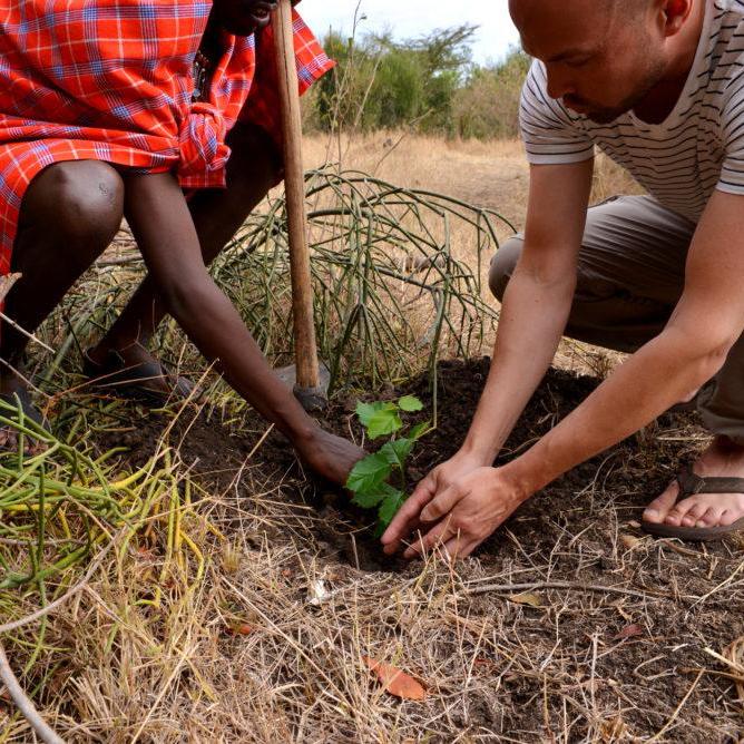 Honeymoon Fund: Tree Planting in Maasai Mara