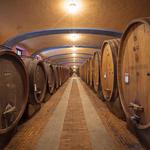 Visit a Winery