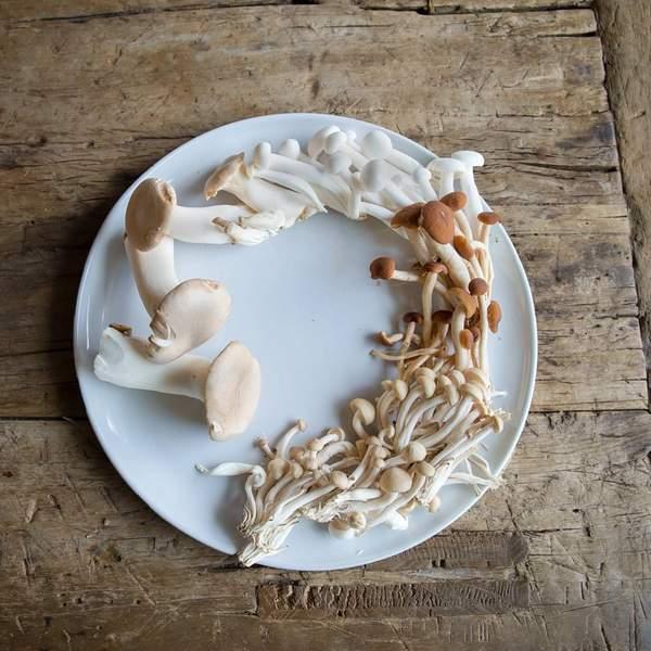 Pacifica Dinner Plate