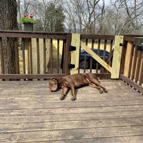 Patch Our Porch Fund!