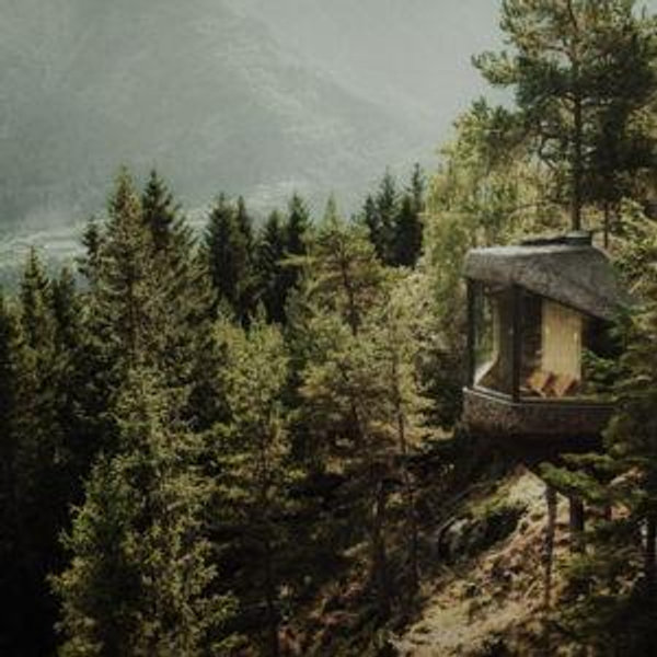 1 Night in a Woodnest