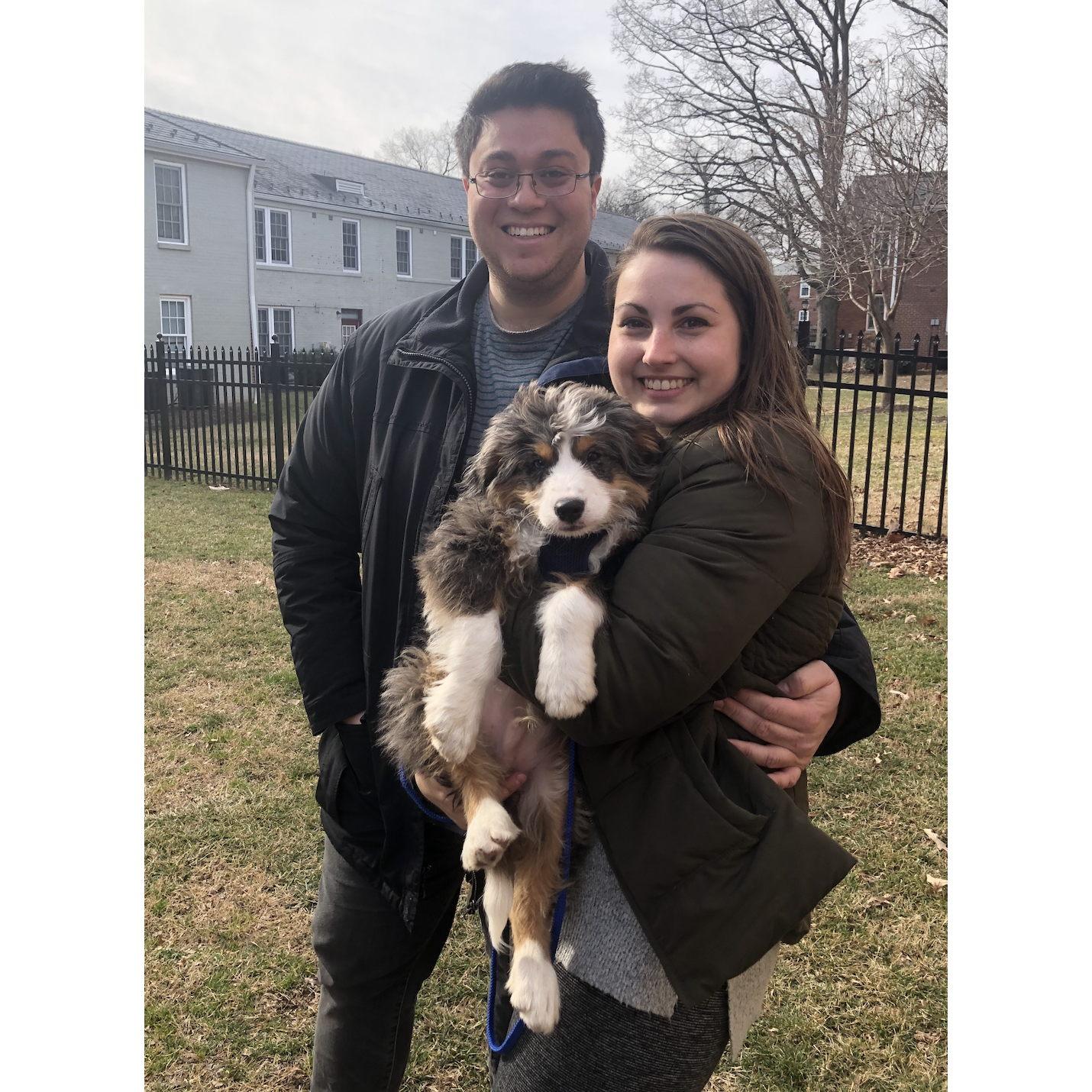 Welcoming Boomer home (2019)
