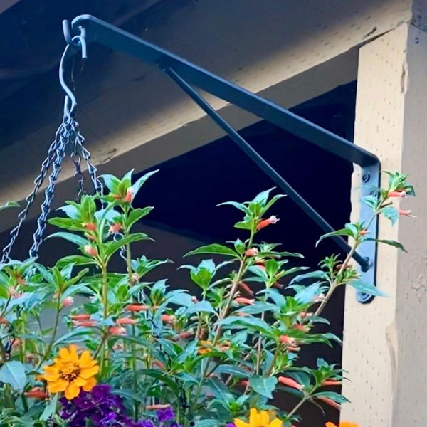 Heavy Duty Hanging Plant Hook, Lantern Hook, Hanging Basket Hook, Birdfeeder Hanger, Planter Hook, Planter Box Bracket, Powder Coated Hook
