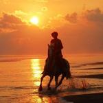 Horseback Riding Manuel Antonio