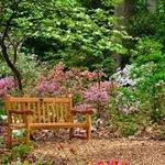 Jenkins Arboretum & Gardens
