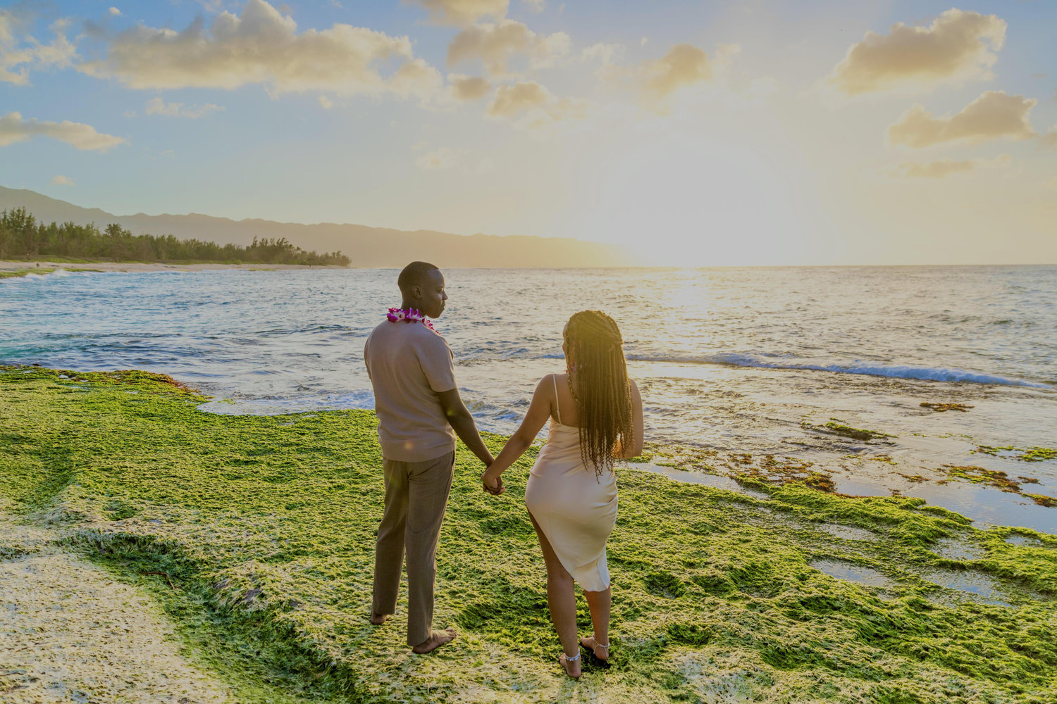 The Wedding Website of Damara Wood and Loro Tombe