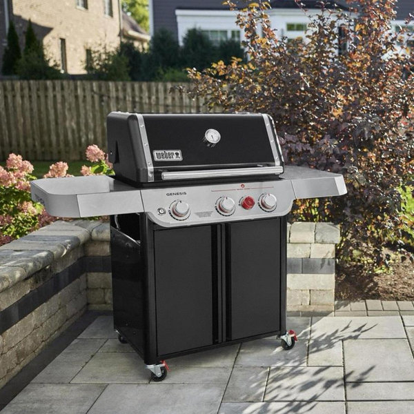 Weber Grill